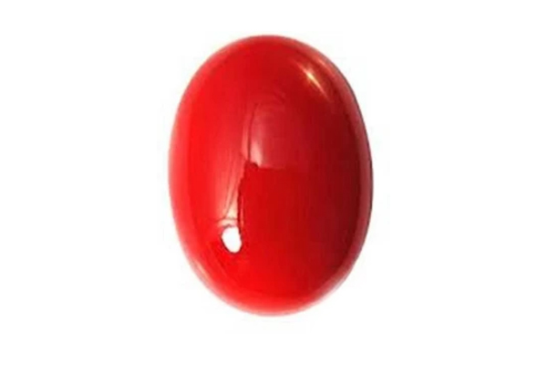 Red-Coral-(Moonga)-for-Mars-(Mangal)-Significance